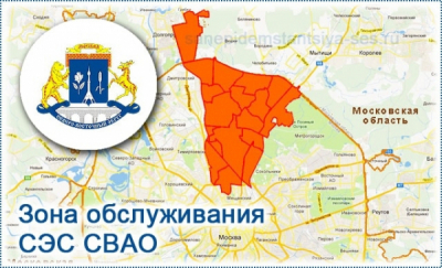 Особая жестокость за деньги &laquo;BananaDent&raquo;: почему 38-летний бизнесмен из Красноярска не признает истязания супруги