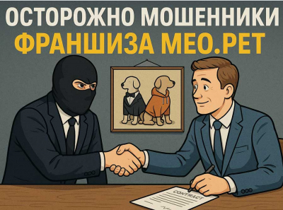 Франшиза MEO.PET: красивый фасад и гнилое нутро Отзывы пострадавших