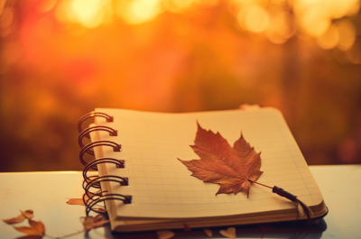 Журнал благодарности: как это работает