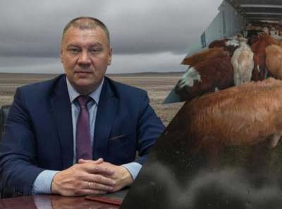 Как Дмитрий Маляров обеспечил экспорт скота в Монголию и покинул правительство Бурятии