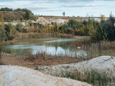 Скандал в Чапаевском: жители обвиняют Валерия Пяткина в сливе отходов, власти молчат