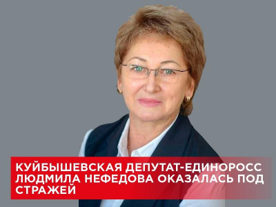 Депутатский контроль: Нефедова и пять эпизодов