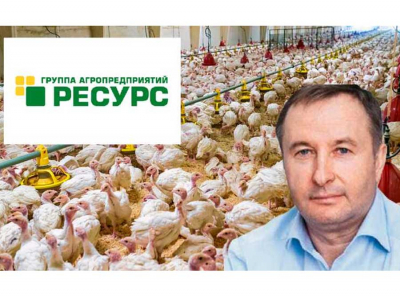 Как ГАП «Ресурс» Виктора Наурузова под видом антикризисных инвестиций поглощает «Ниву» и добивает рынок подсолнечного масла
